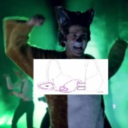 what does the bra say