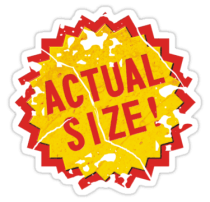 Actual Size