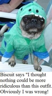 Final Biscut says I thought nothing could be more difficult than this outfit obviously I was wrong