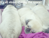 Share the Space