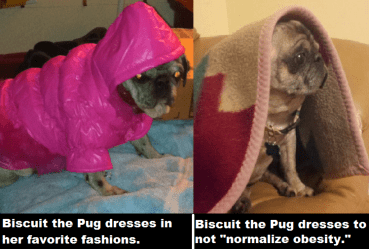 Fashion and Normalizing Obesity