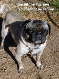 You Cannot Be Serious